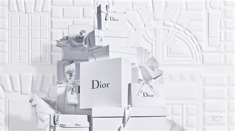 dior united states website|Dior online shopping usa.